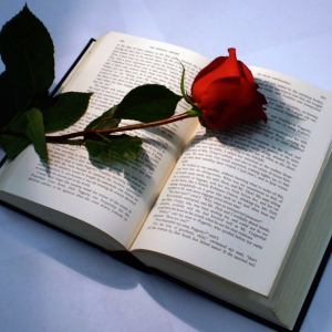 Rose_with_book_by_skait