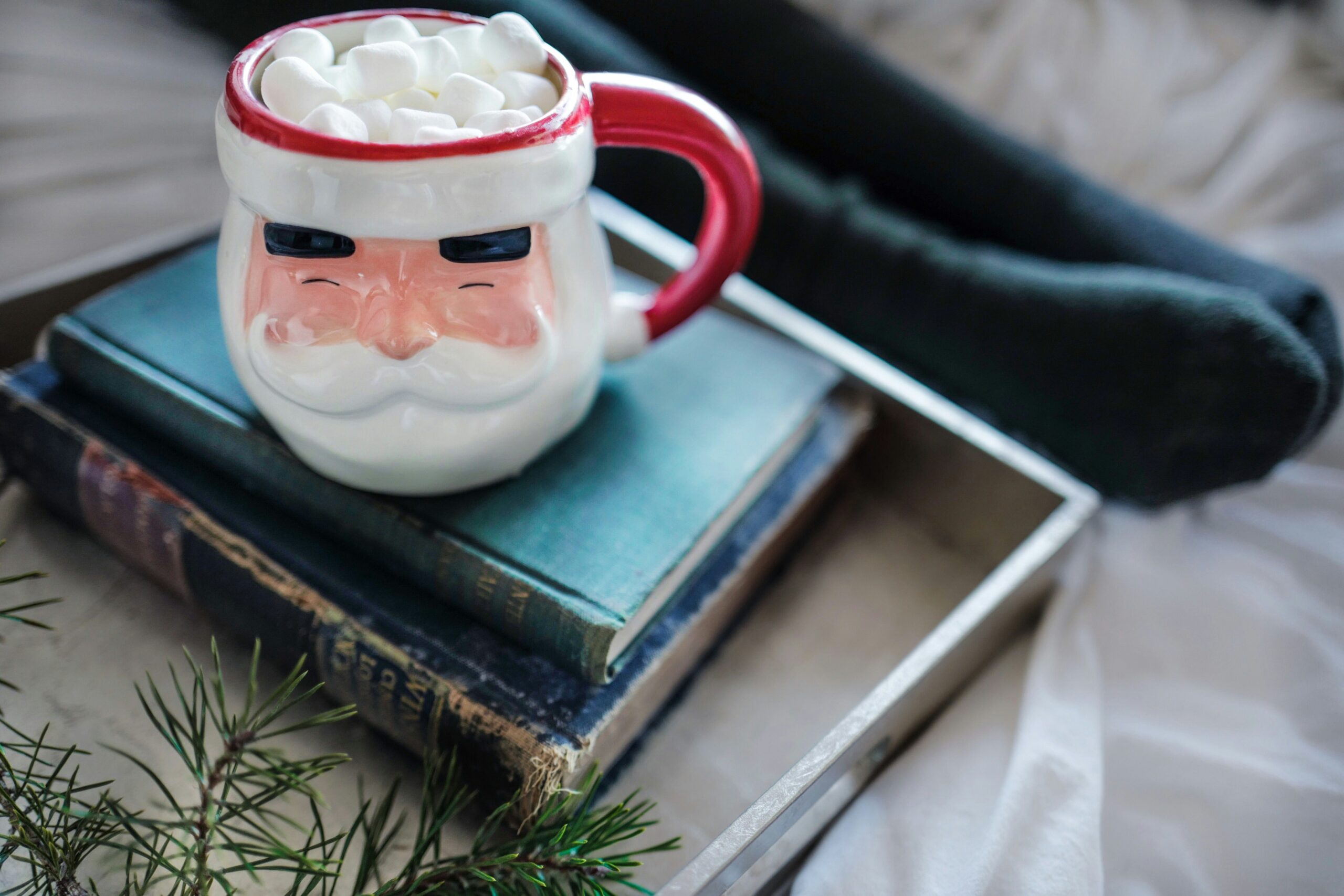 Father Christmas mug on top of books